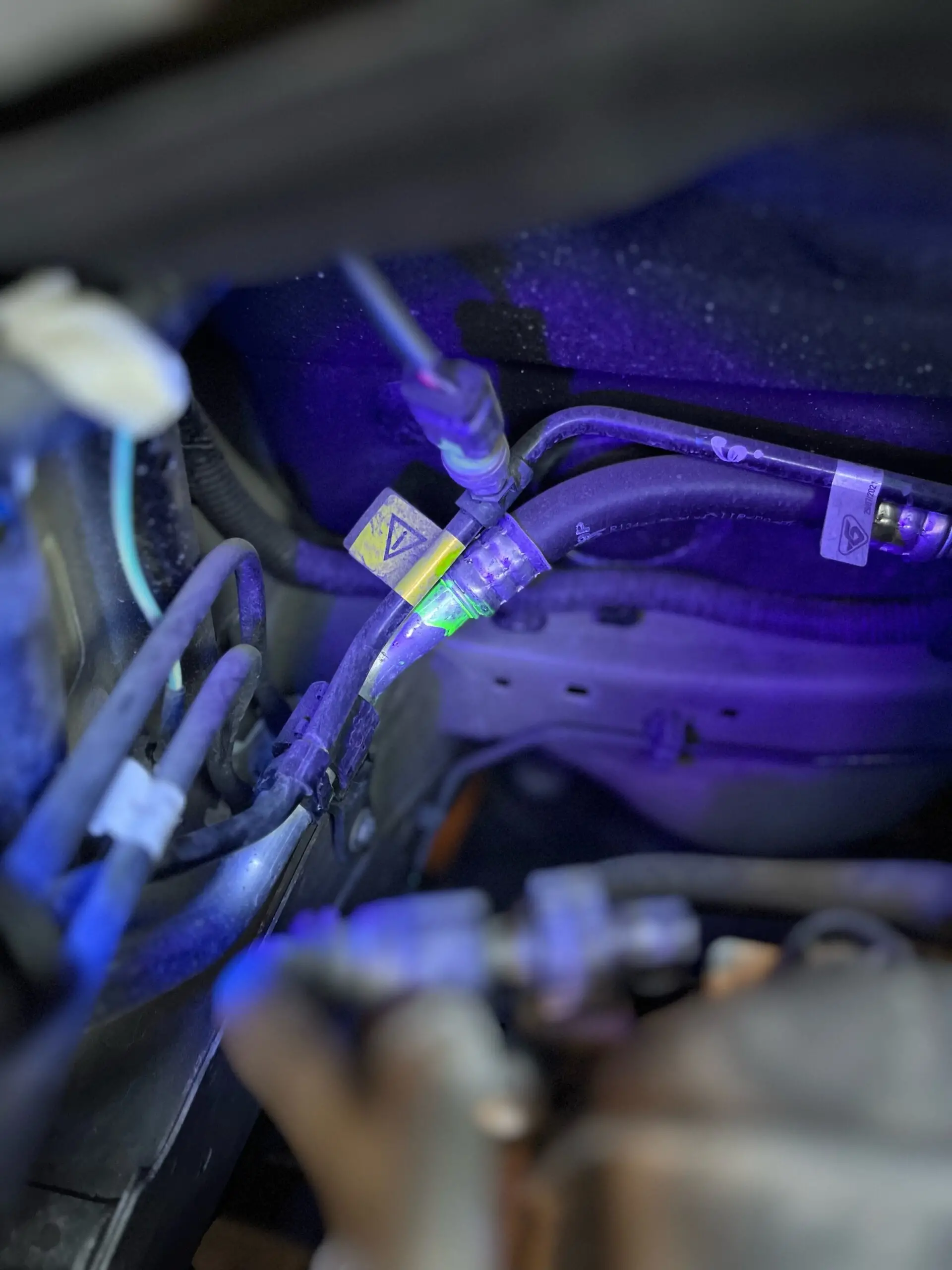 Latarka UV - obrazek 2